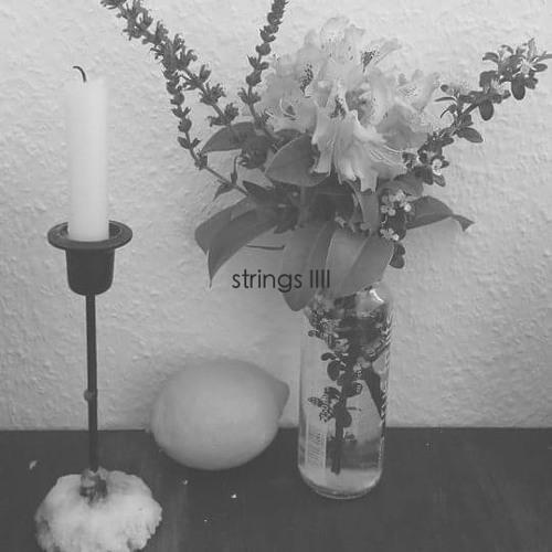 aleksdub - candle lemon flower