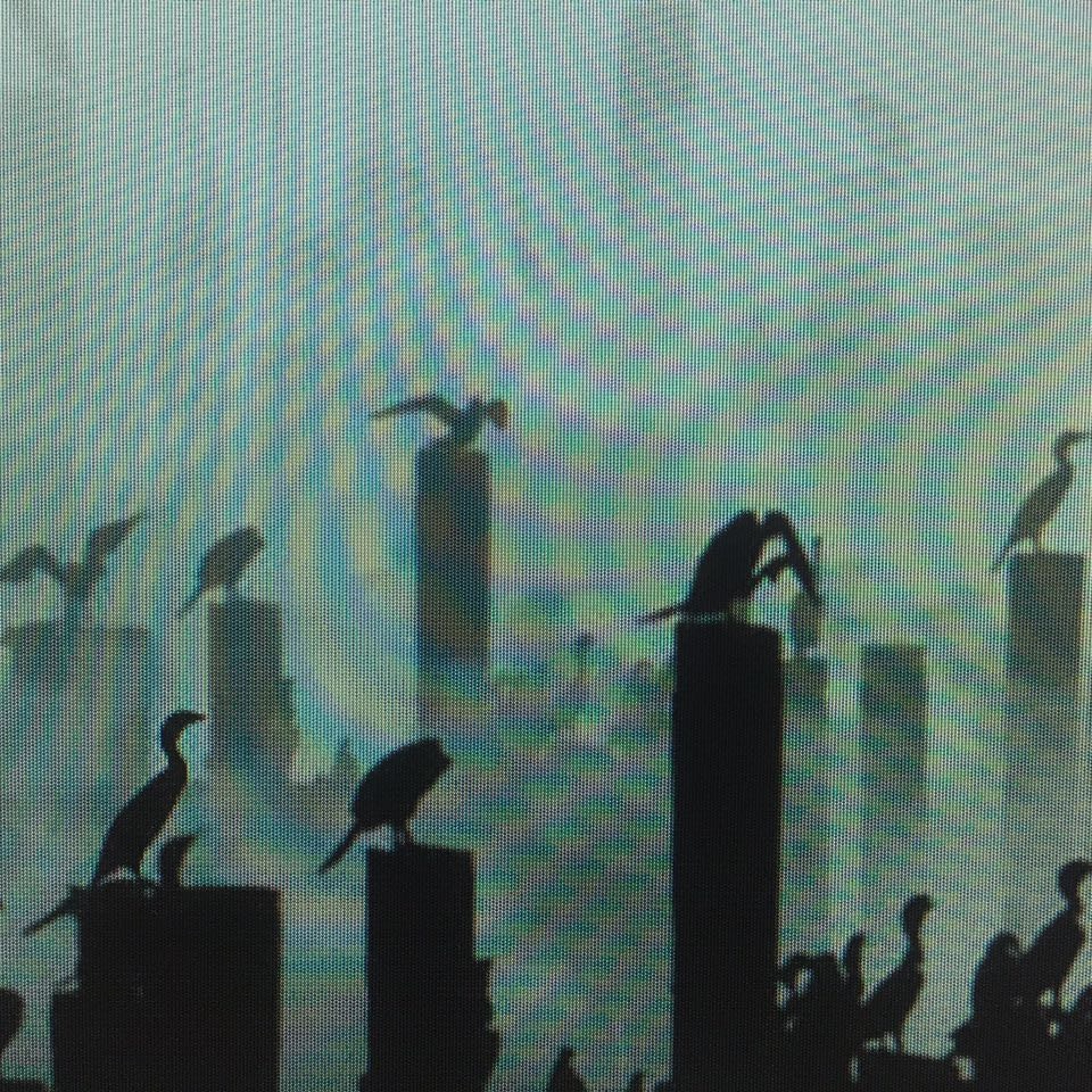 SoundSpade / Artifact Unknown