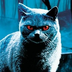 NeShawn - Friedhof der Kuscheltiere