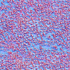 A Carefully Planned Festival #6 (Saturday)