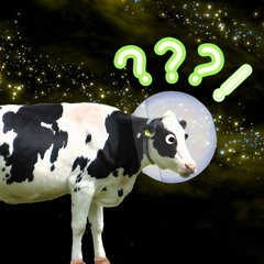 Lu4o - Space Cow [ Original Mix ] | Free Download |