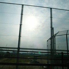 Who / 山崎祐子BAND