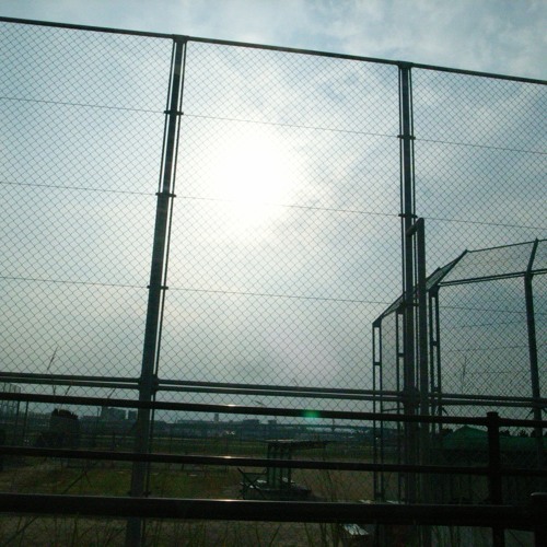 Who / 山崎祐子BAND