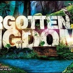 Forgotten Kingdom Garden stage set 1AM - 2:30AM Sunday Morning