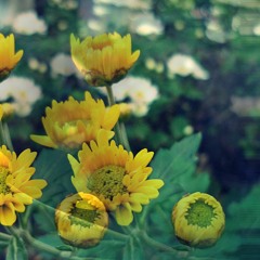 Tá Na Hora de Mudar!!!