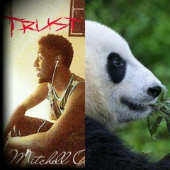 Lil Ottie Panda (Remix).wav