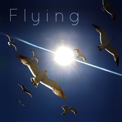 Flying