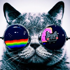 DirtyCat-InTheKitchen