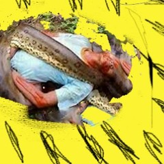 APPALACHIANPIGRITUAL