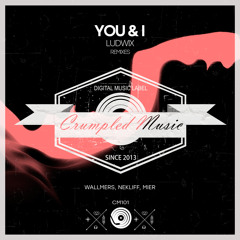 Ludwix – You & I (NekliFF Remix)