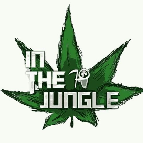 DJ LOONEY - MR TRAUMATIK / IN THE JUNGLE