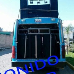 18 5 DE TE arkangel r15