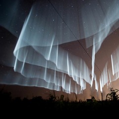 Minimal Thoughts Of Reason ~ Dave Tipper