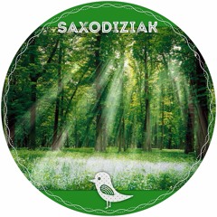 SAXODIZIAK KoolSAX - Evasion