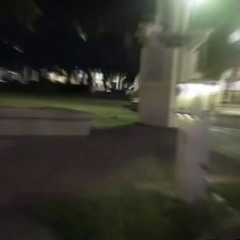 Static Meadows- Think of Me