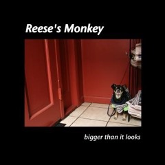 You Haven't Done Nothin'