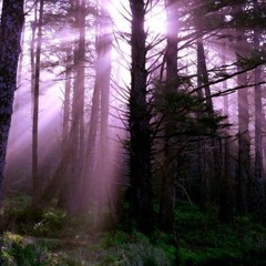 quite sad,isn't it?she said