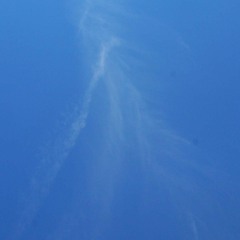 Sunday Morning (GRIMM SELFIE)