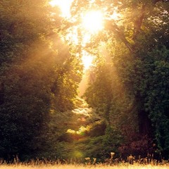 Dusk - Mantrahead ft Alex Taylor