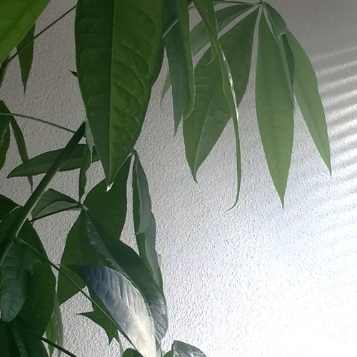 Stream May Life Throw You A Pleasant Curve by Et Kin Listen online