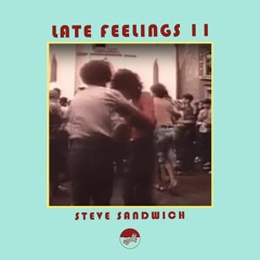 Late Feelings 11 (Mixed By Steve Sandwich)