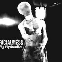 Facialmess - Pig Hydraulics (CDR Amen Edit)