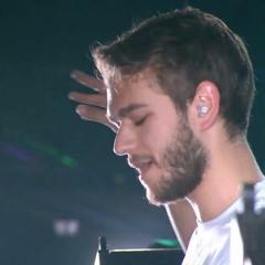 Zedd - EDC Las Vegas 2016 (Free) → [www.facebook.com/lovetrancemusicforever]