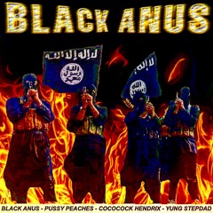 How It Goes ft. Pussy Peaches, CocoCock Hendrix, Yung Stepdad. (Prod. NETO)