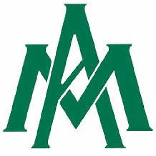 Alan Walker Fade 2016 [ Fahmy Fay Ft Agus Mardy ] Private Remix