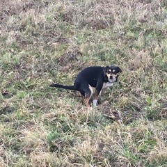 Voll gut und so...@privateafter-kapitän-kack-records