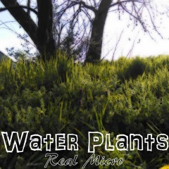 Water Plants (Prod Enhydra)