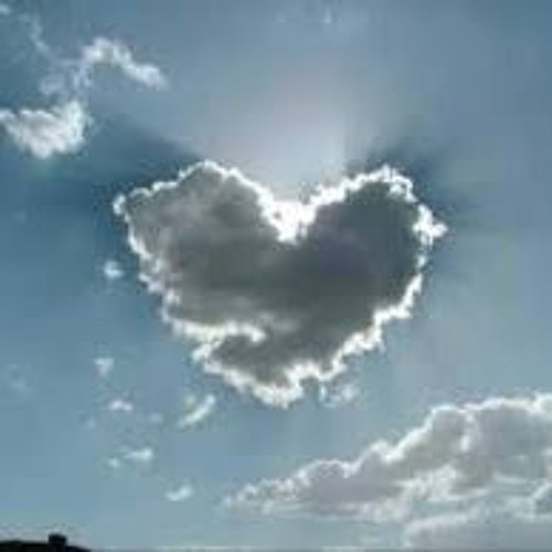 purpan. // heart.