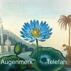 Simply Beautiful (Augenmerk & Telefan)