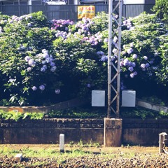 あれから僕も変わったんだろう