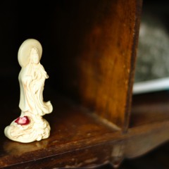 Training Your Heart (Lojong Teachings #4): Compassion in a Tough World