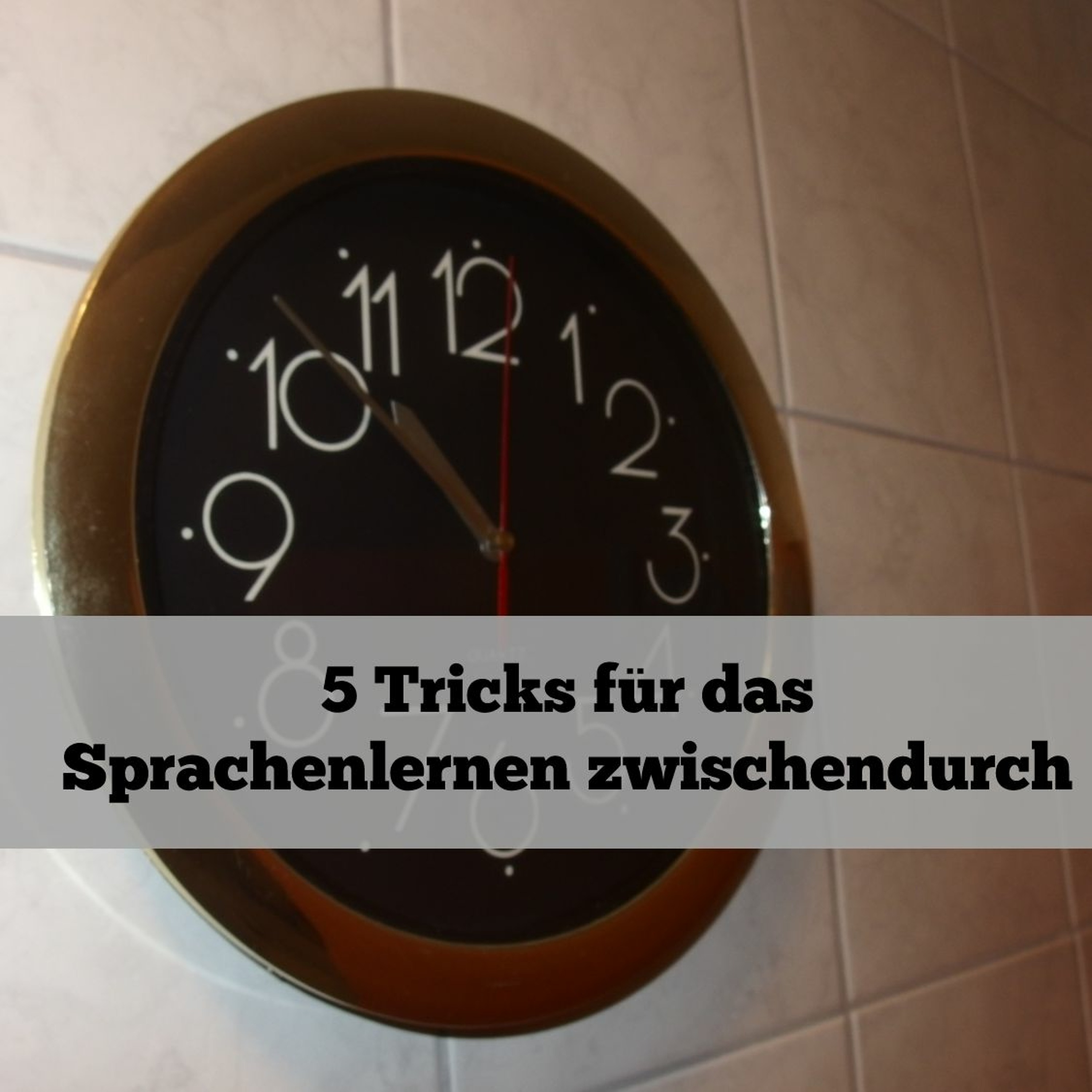Sprachheld - Lerne Sprachen blitzschnell