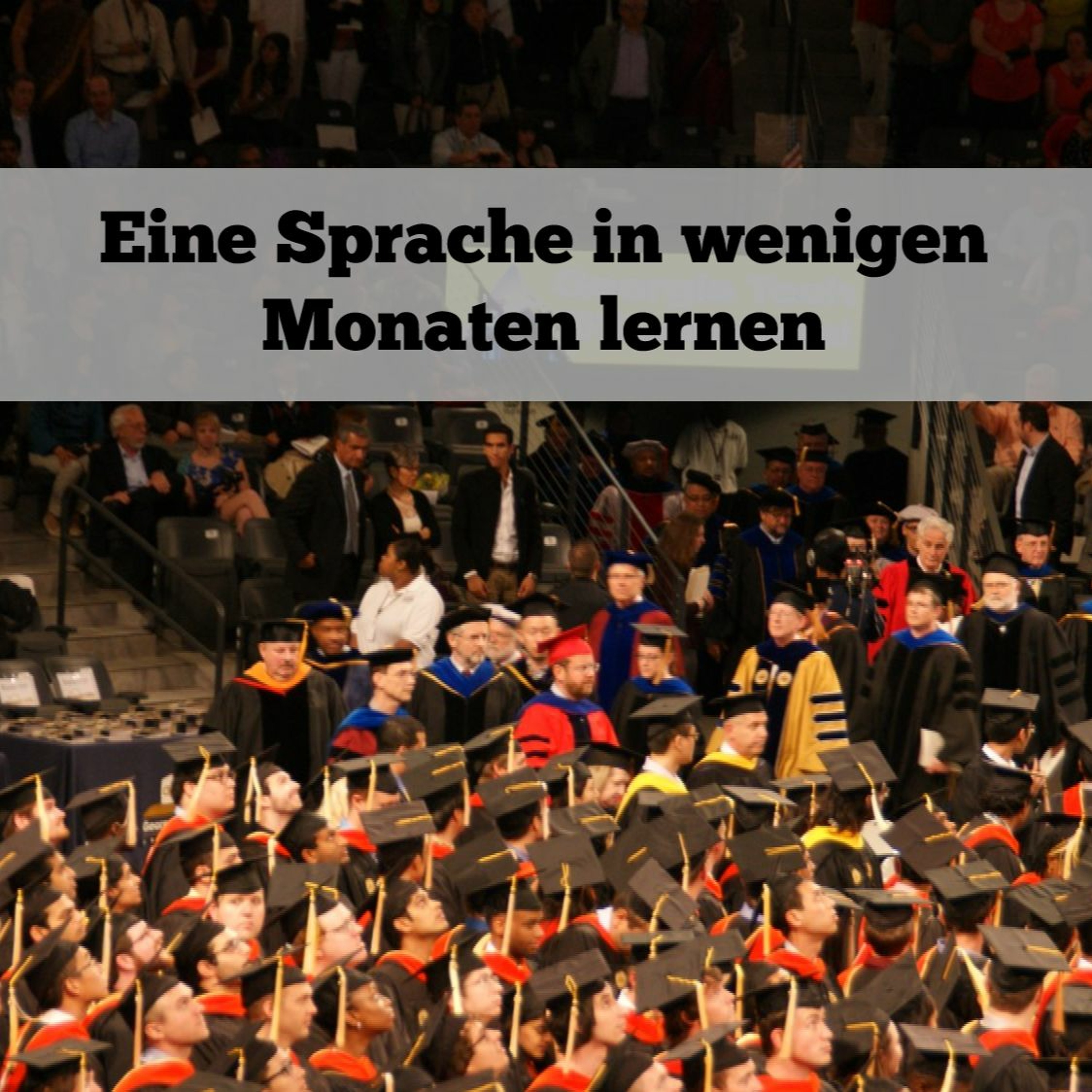 Sprachheld - Lerne Sprachen blitzschnell