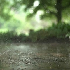 Relaxing nature sounds | RAIN SOUNDS | 30 minutes