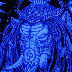 Electric Shiva Universe - You Got To Go To Goa