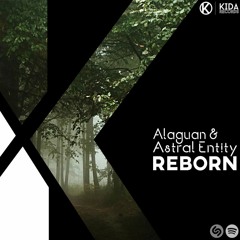 Alaguan & Astral Entity - Reborn (Original Mix)