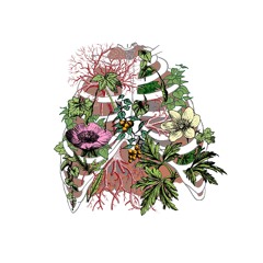 Sojourner | 27th June