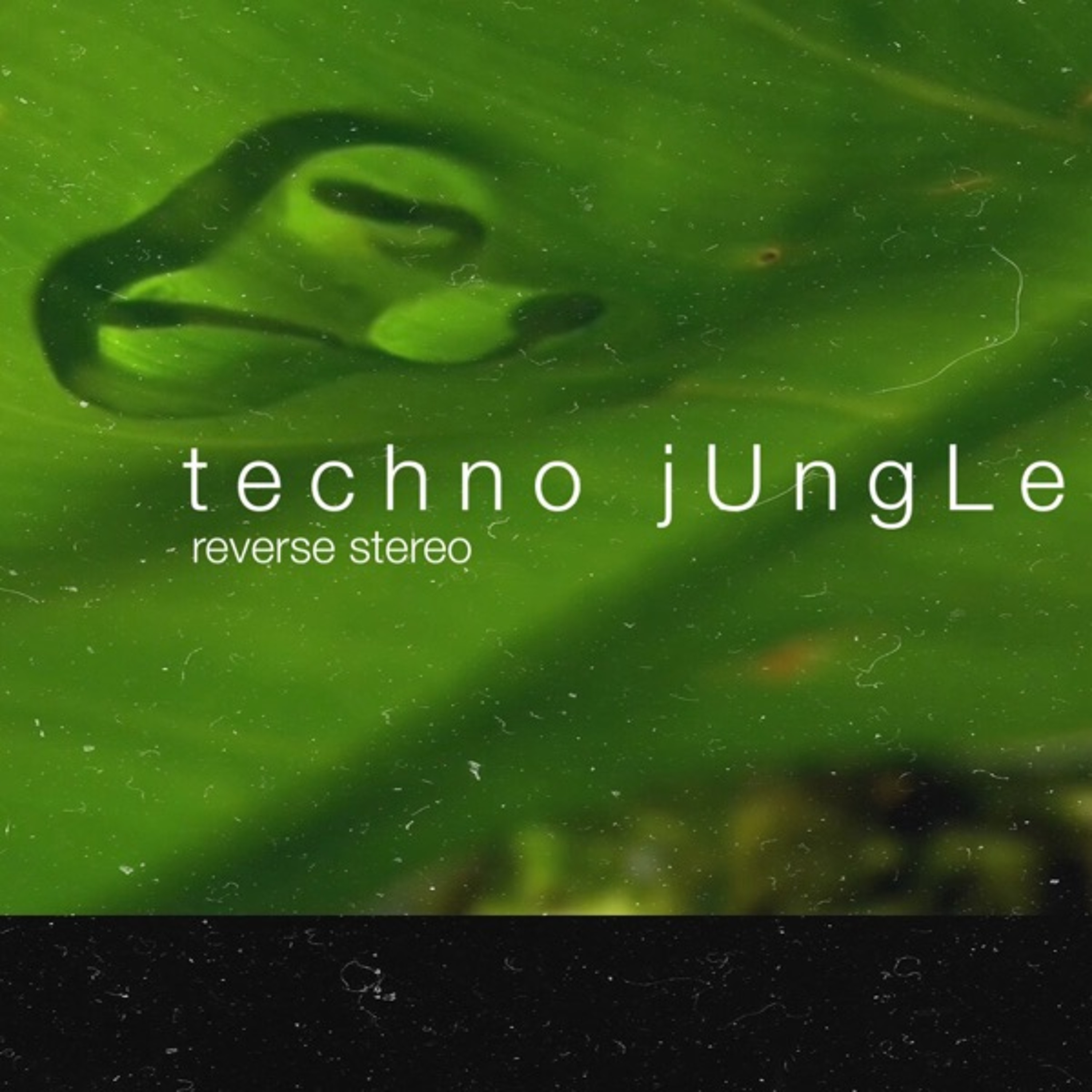 Techno jungle (Original mix) episode artwork