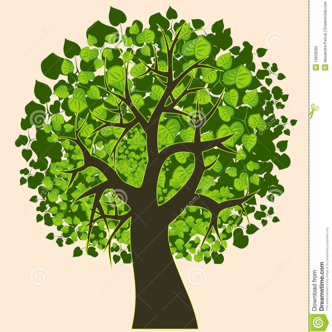 Sean Simmer Tree Stream A Simmer Tree by playandteach | Listen online for free on SoundCloud