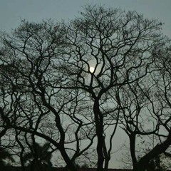 I Get to Love You - Ruelle (cover)