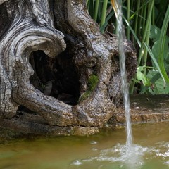 The Healing Fountain | Music For Rest & Meditation | Nature Sounds