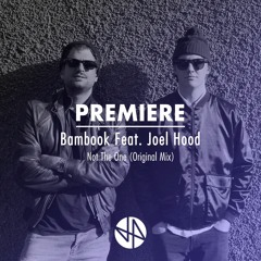 Premiere: Bambook Feat. Joel Hood - Not The One (Original Mix)
