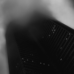 IDM