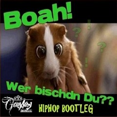 Beginner - Wer Bistn Du ey? (Houseman Edit 2016)