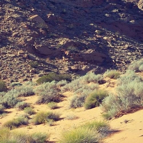 Justin Cross - Let Me In (Amplicity Remix)