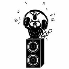 Remix vs DJ-Eule(cocoon-top-tracks 2016)